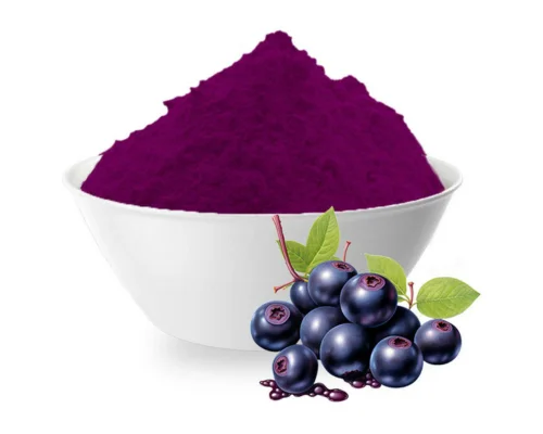 Black Currant Powder